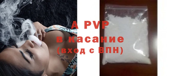 эйфоретик Магас