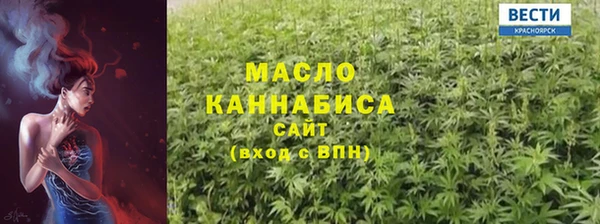 гидра Грязи