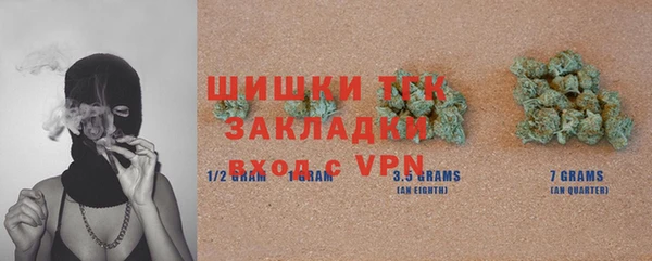 гидра Грязи