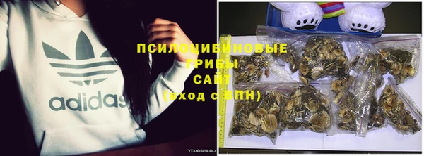 мескалин Губаха