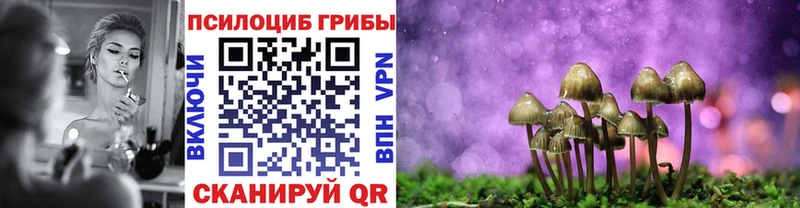 Псилоцибиновые грибы MAGIC MUSHROOMS  Липки 